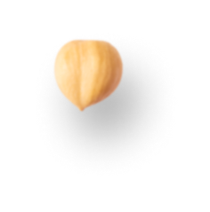 Floating Hazelnut Version 1