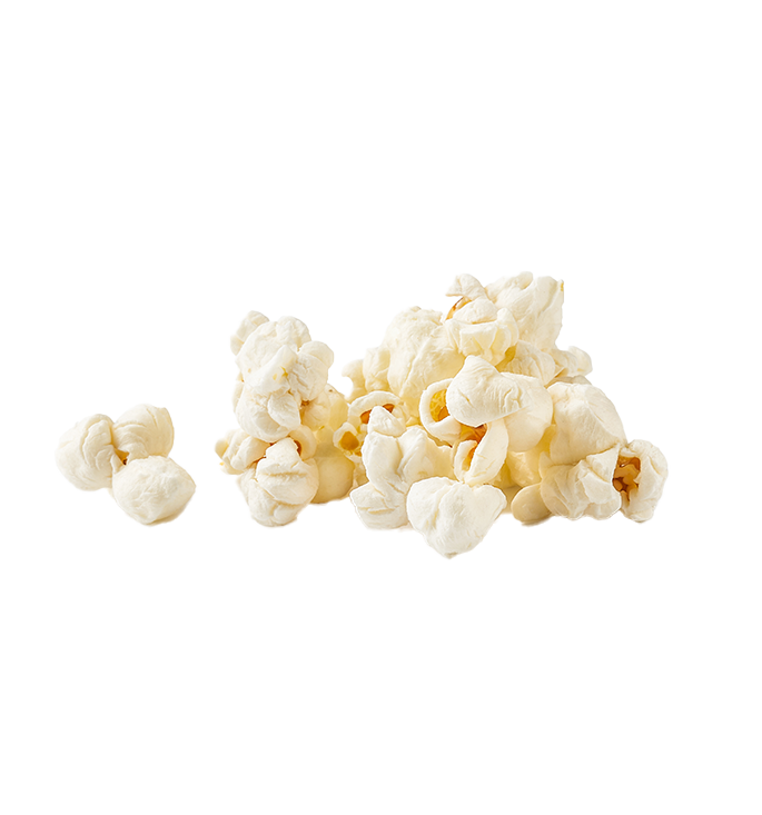 POPCORN ELiT