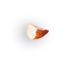 Floating Almond Version 1