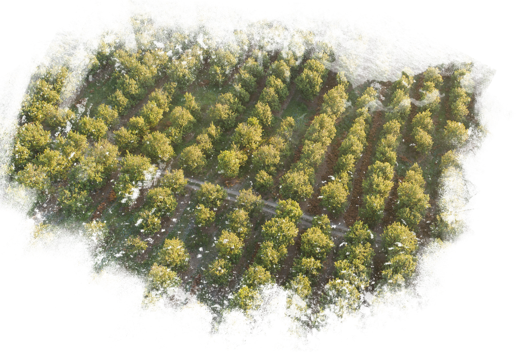 tree-fields